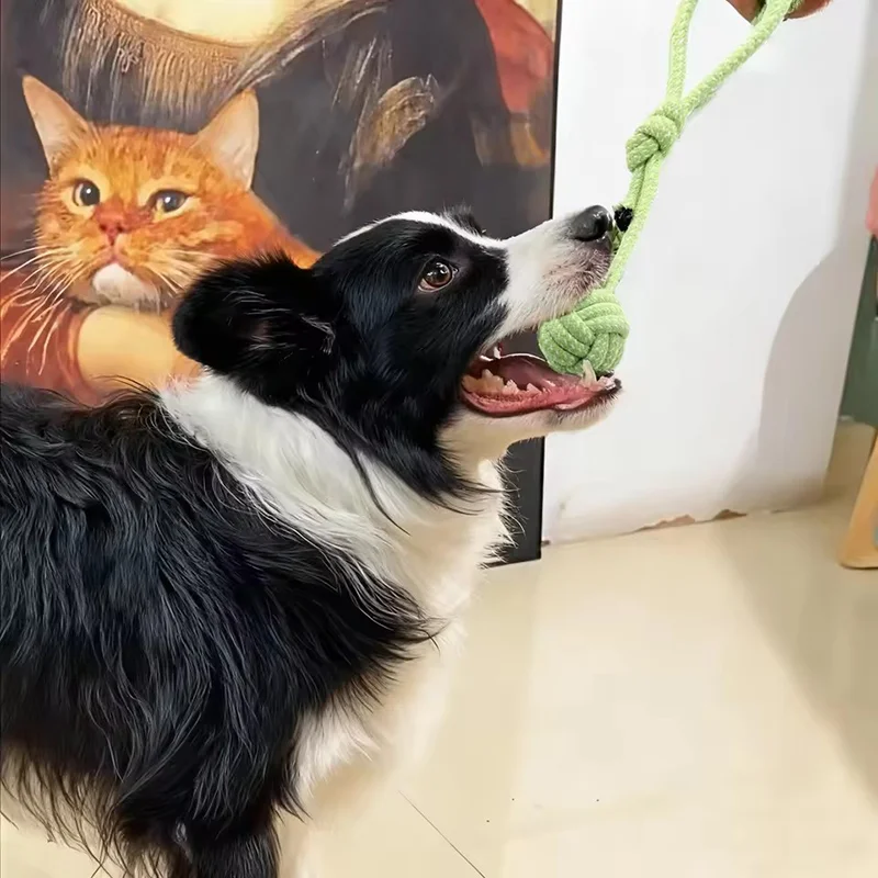 Durable Dog Chew Rope Toy Knot Ball For Small Puppies Bite Resistant Molar Teeth Cleaning Self Play Boredom Relief Pet Supplies Sa576f6fa77004a41ac5b7df5b24d1c5eM