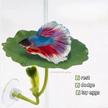 Betta Leaf Hammock 1