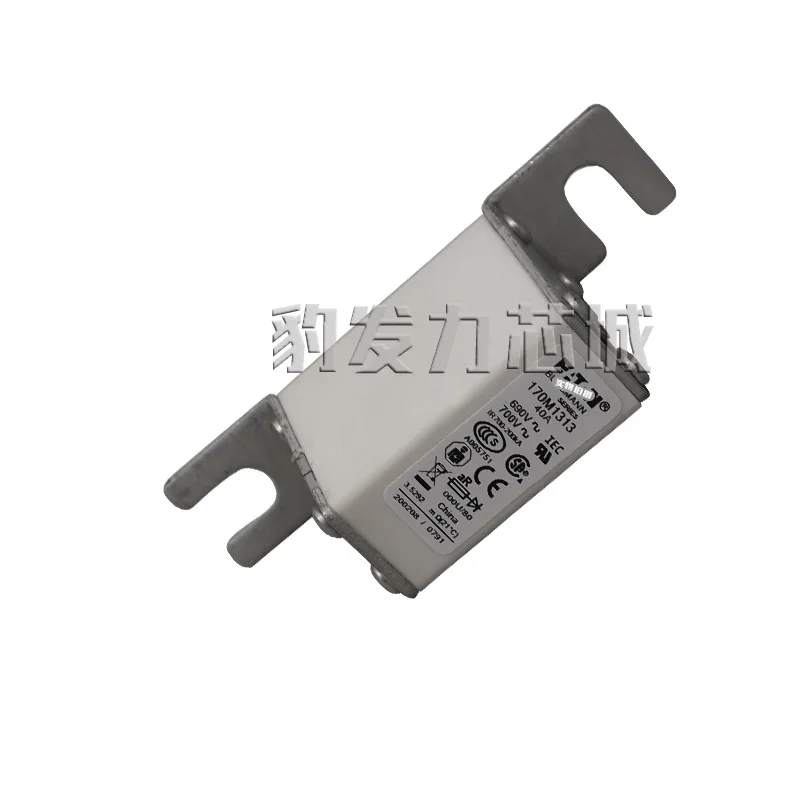 

170M1308/1309/1310/1311/1312/1313/1314/1315/1316/17/18 предохранитель