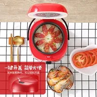 220V 1.2L Electric Rice Cooker Multi Cooker 300W Portable Chinese Food Maker 1