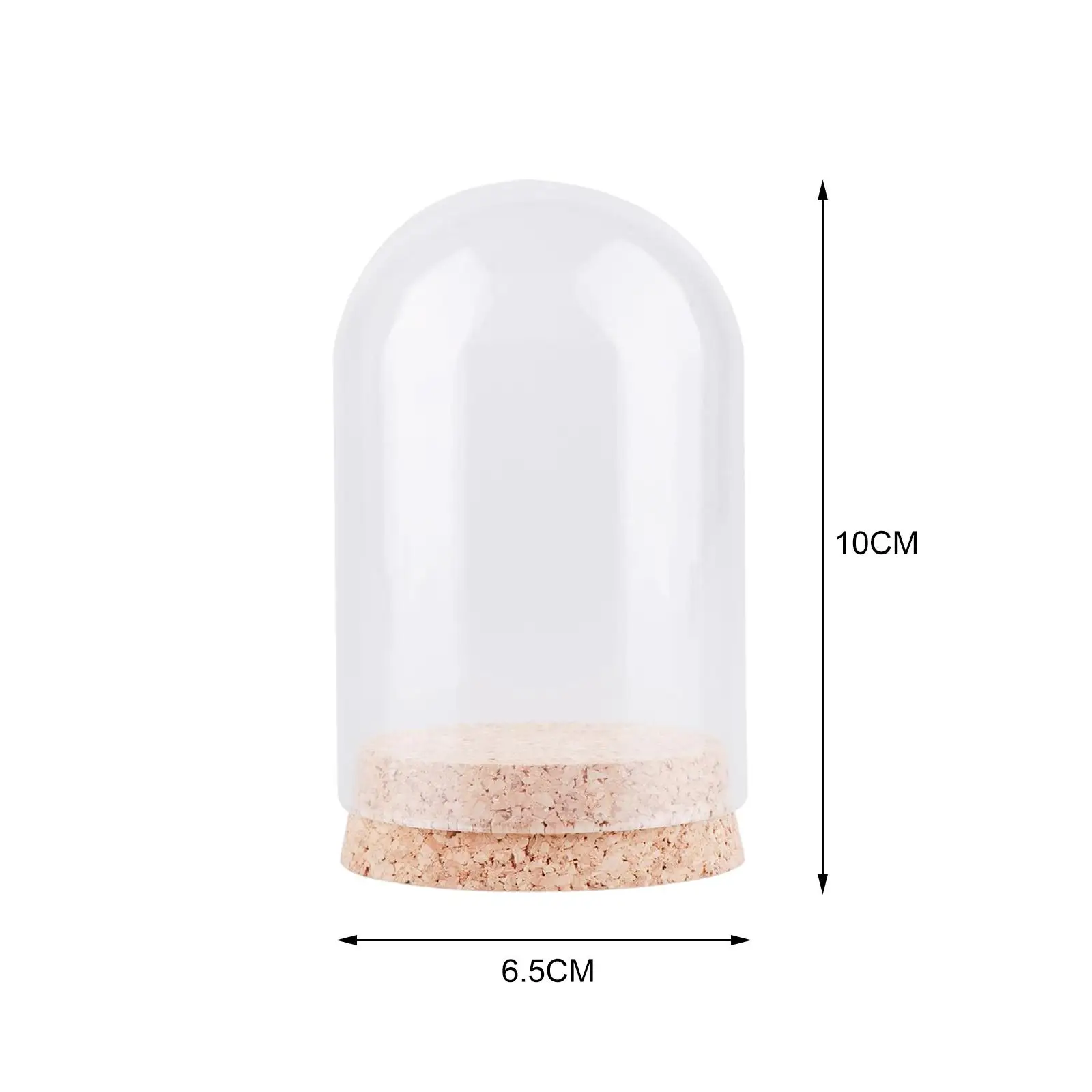Glass Display Dome 10x Transparent Display Dome with Wooden Base Birthday Gift Protective