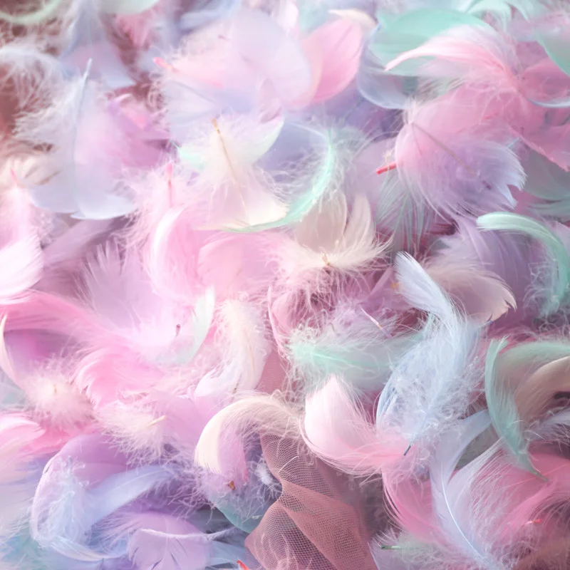 Natural Goose and Swan Feathers for Home Decor and Crafts - 100 Pieces