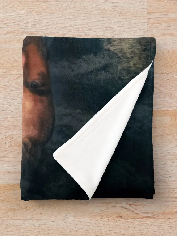 The LastKingdom ������ ���, ���� ���, �ڽ����� �ִϸ��̼� �ε巯�� ħ�� ���, �ö��� ���