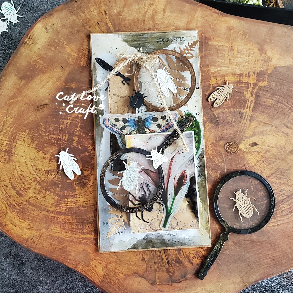 Catlove 곤충 돋보기 금속 절단 다이 스크랩북 스텐실 다이 컷 카드 만들기 공예 엠보싱 새로운 다이 2022