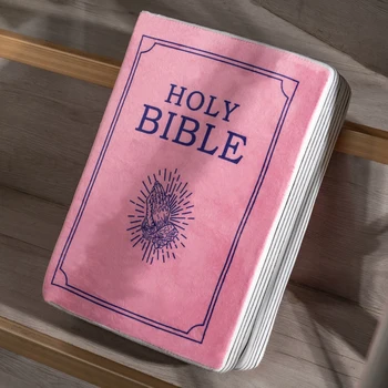 John 3 Pink Cutest Bible Memory Foam Pillow with Bible Throw Pillow Learn the valuable lesson Learn the valuable lesson