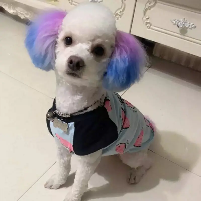 Pet Hair Dye 80g Semi Permanent