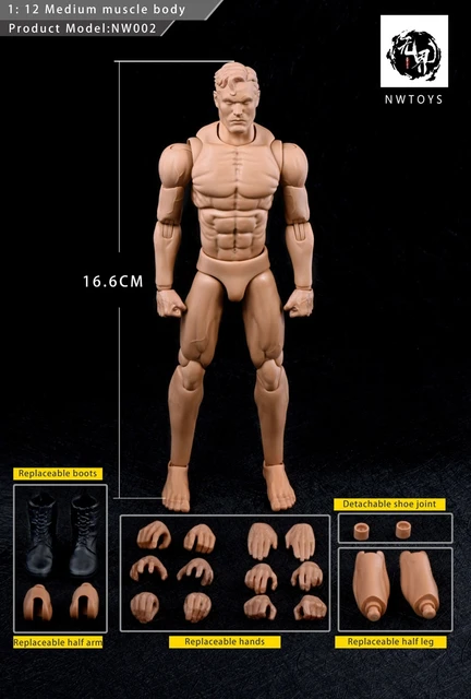 In Stock NwToys G001 1/12 16.6cm Anime Medium Muscle Joint Male