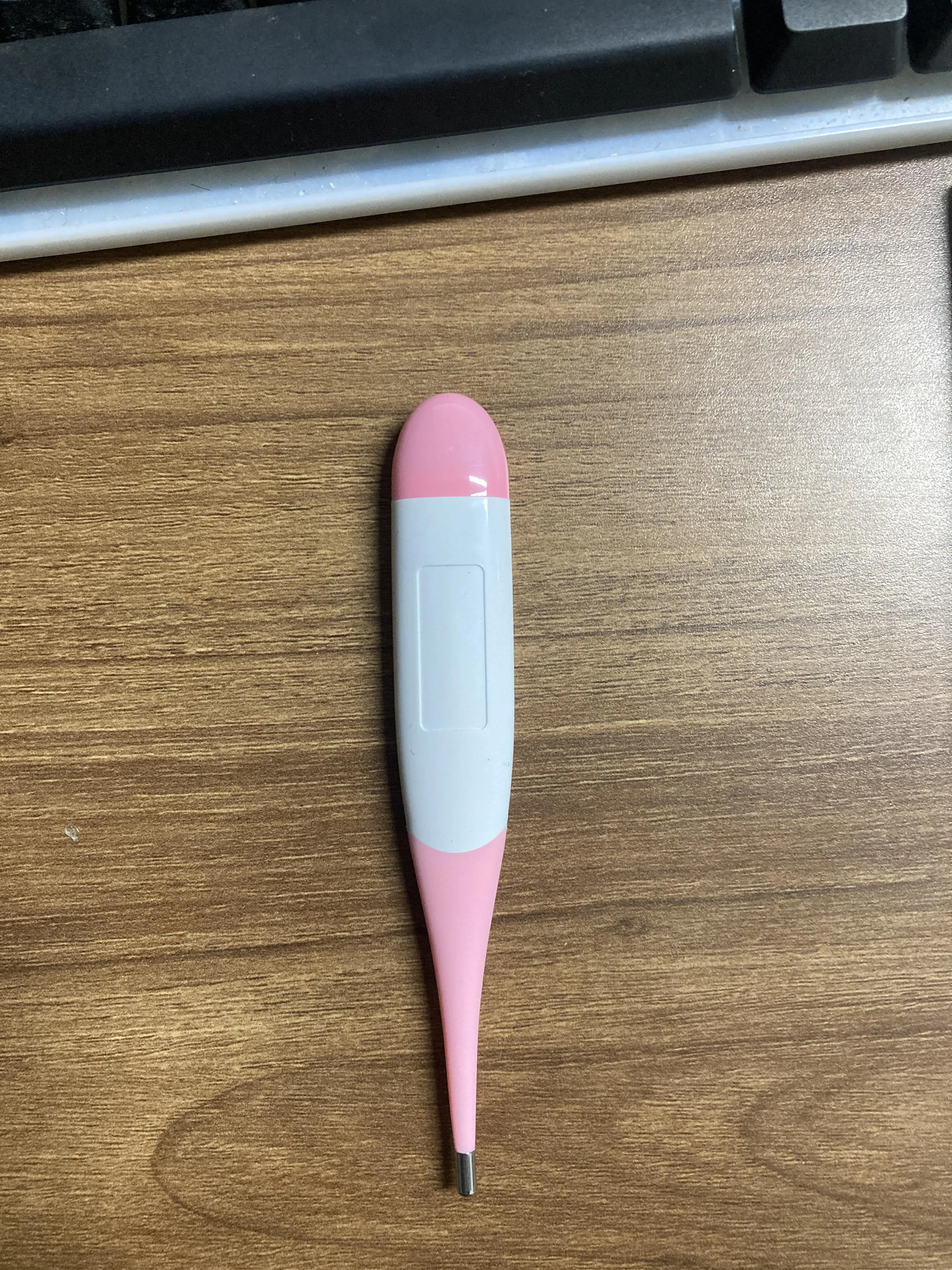 Animal Thermometer Portable Precision Clinical fever temperature for pet Medical electronics TPR silicone Waterproof Probe veterinary accessories