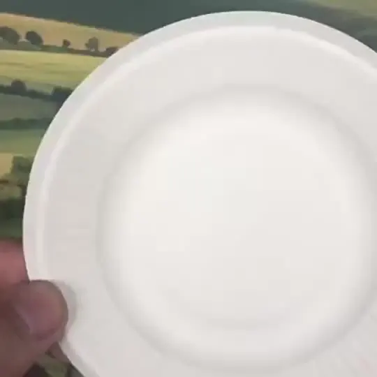 50 Pezzi Di Piatti Di Carta Usa E Getta Bianchi Di Dimensioni (6'7 - Foto 7