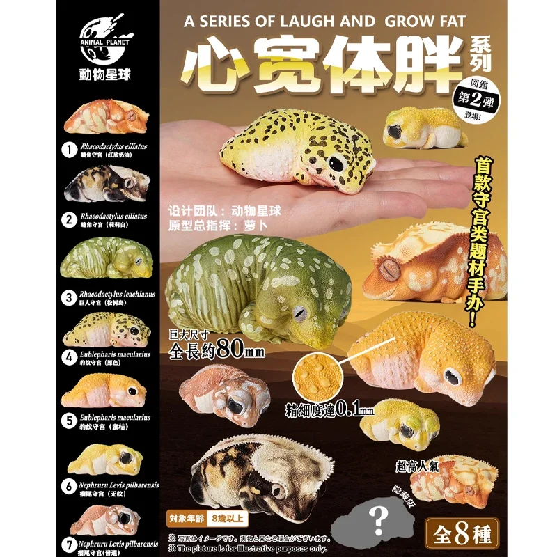 Animal Planet Una Serie Di Ride And Grow Fat Muslimatus Leachianus Eublefaris Macularius Nephruru Levis Pilbarensis