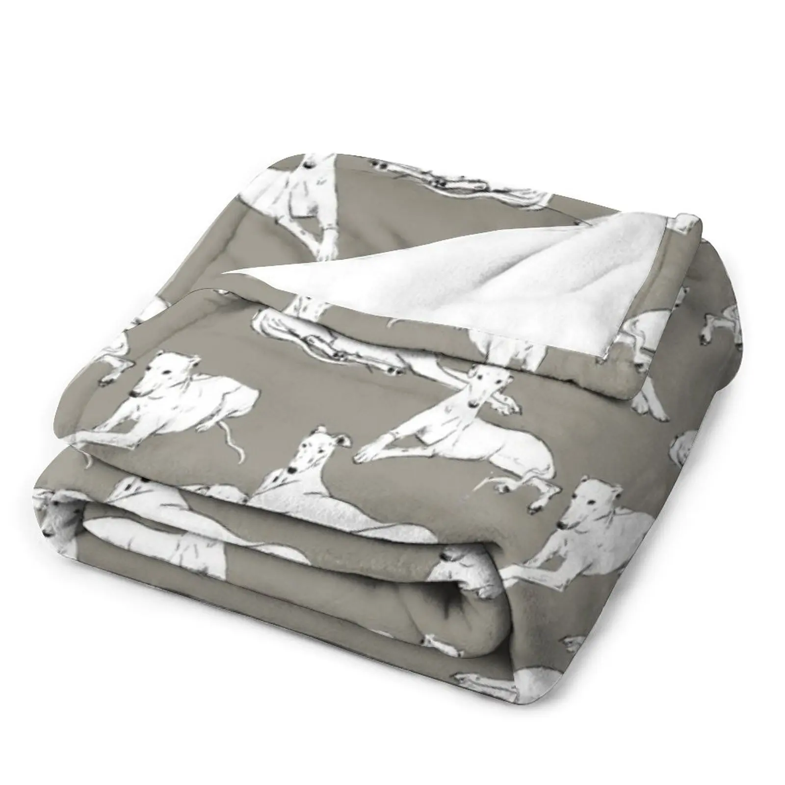 ������ ������ ���, ���� ķ�ο� ������ ���