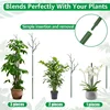 3/24PCS Twig Plant Support Brackets Stackable Green Plants Growth Stakes Detachable Monstera Climbing Stakes for Indoor Outdoor 6