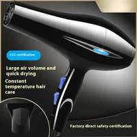 Negative Ion Hair Dryer Constant Temperature Hair Care without Hurting Hair Light and Portable Essential for Home and Travel 2