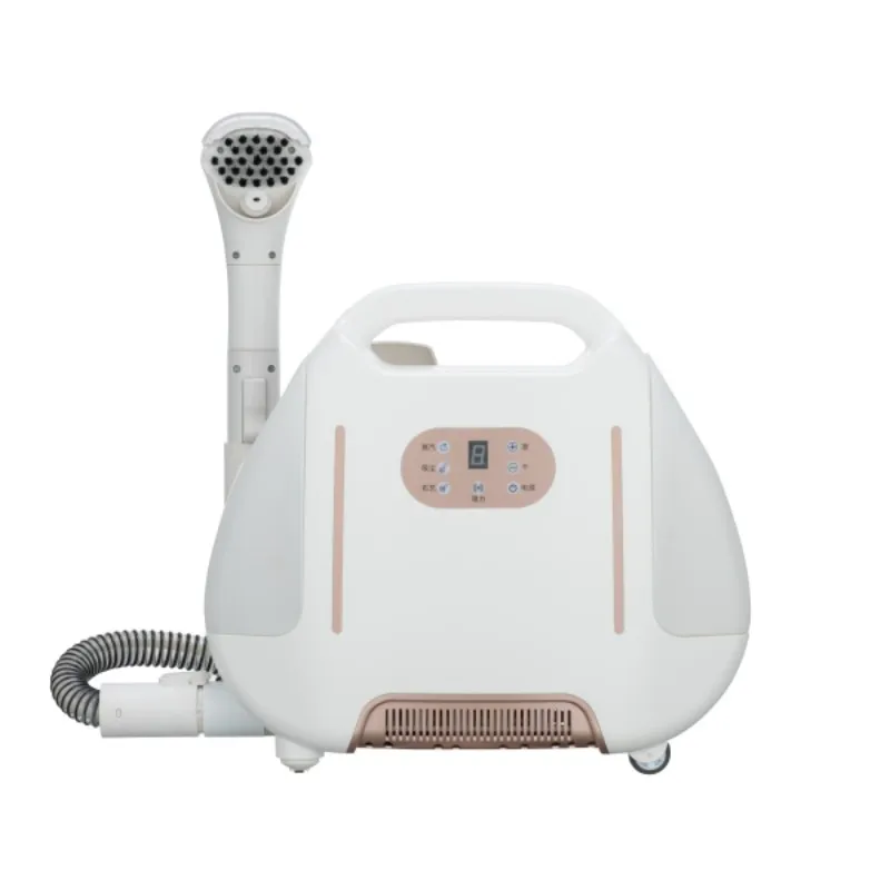 Spotclean Pulitore A Vapore Portatile Divano Tenda Per Tappeti Aspirapolvere Per Auto Aspirazione A Spruzzo Macchina Integrata Macchina Pulita