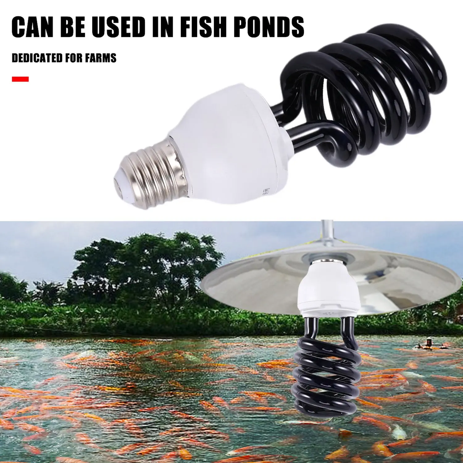 Slide image f69f1655987b42f9919207c266c18106