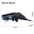 Sperm Whale