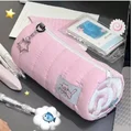 Pink Cat-1