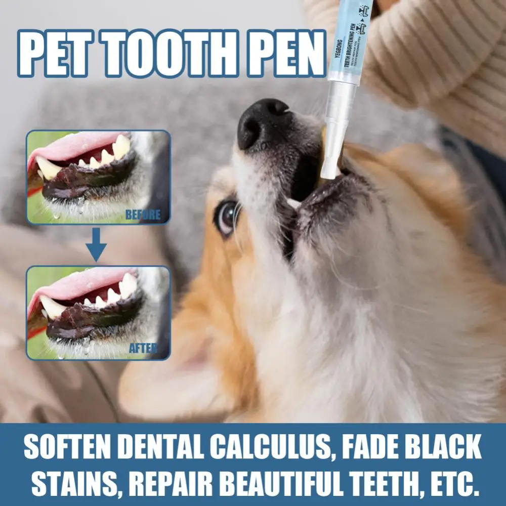 How To Keep Dogs Teeth White how-to-keep-dogs-teeth-white