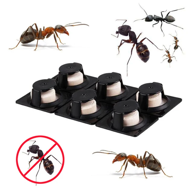 6Db Hangya Ügynök Csali Erőteljes Gyilkos Rovar Kártevő Porvezérlés Megsemmisíti A Hangyák Taszító Csapdát Megöli Csalit - Image 3