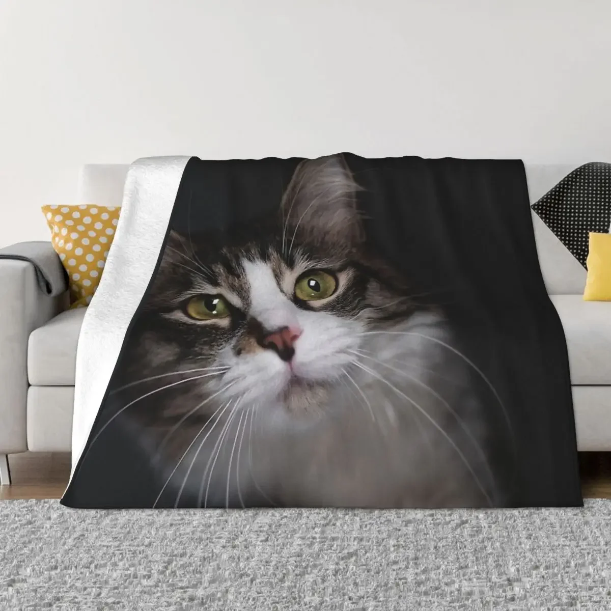 

Cat Lover Art Cute Kitty Portable Warm Throw Blankets for Bedding Travel