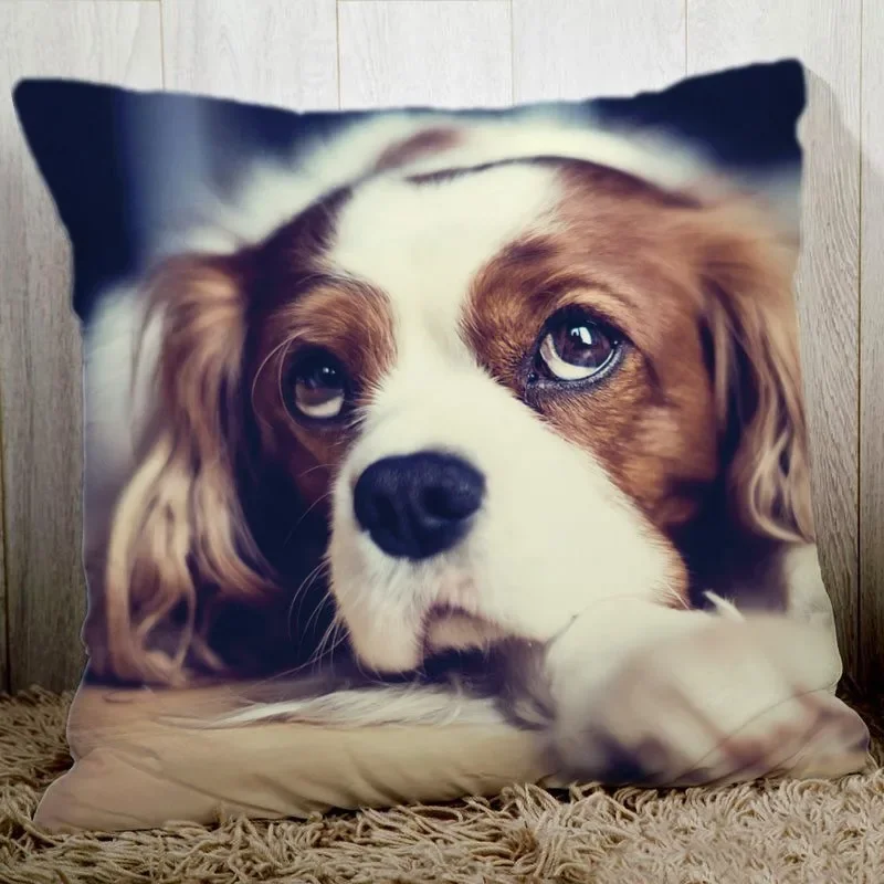 Custom Pillow case Personalized cozy pillowcase Printed Your Design picture text home decorative pillows Household Gifts 3