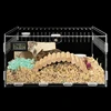 Reptiles Feeding Box Breeding Case Acrylic Terrariums for Reptiles Small Snake 4