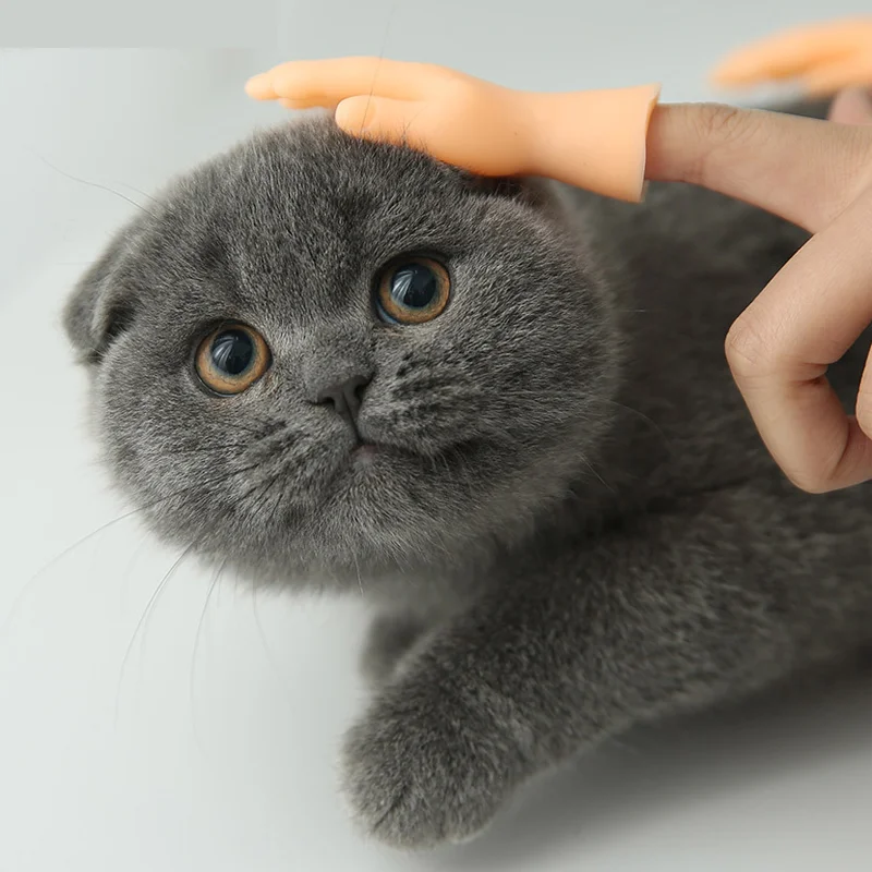 Cartoon Fun Creative Funny Mini Finger Puppet Set Soft Little Hands Five Finger Model Gestures Tease Cat Pet Toys Halloween Gift finger puppets