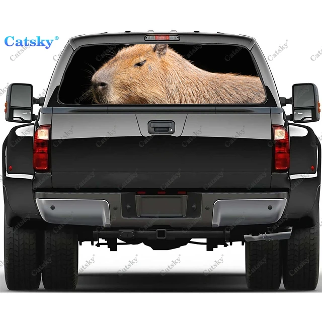 Capybara animal Window Decal Sticker Graphic PVC Decorative Truck