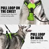 LED Glowing Luminous Dog Harnesses Essential for Dog Walking Safety at Night Dog Vest with Three LED Light Modes Rechargeable 6