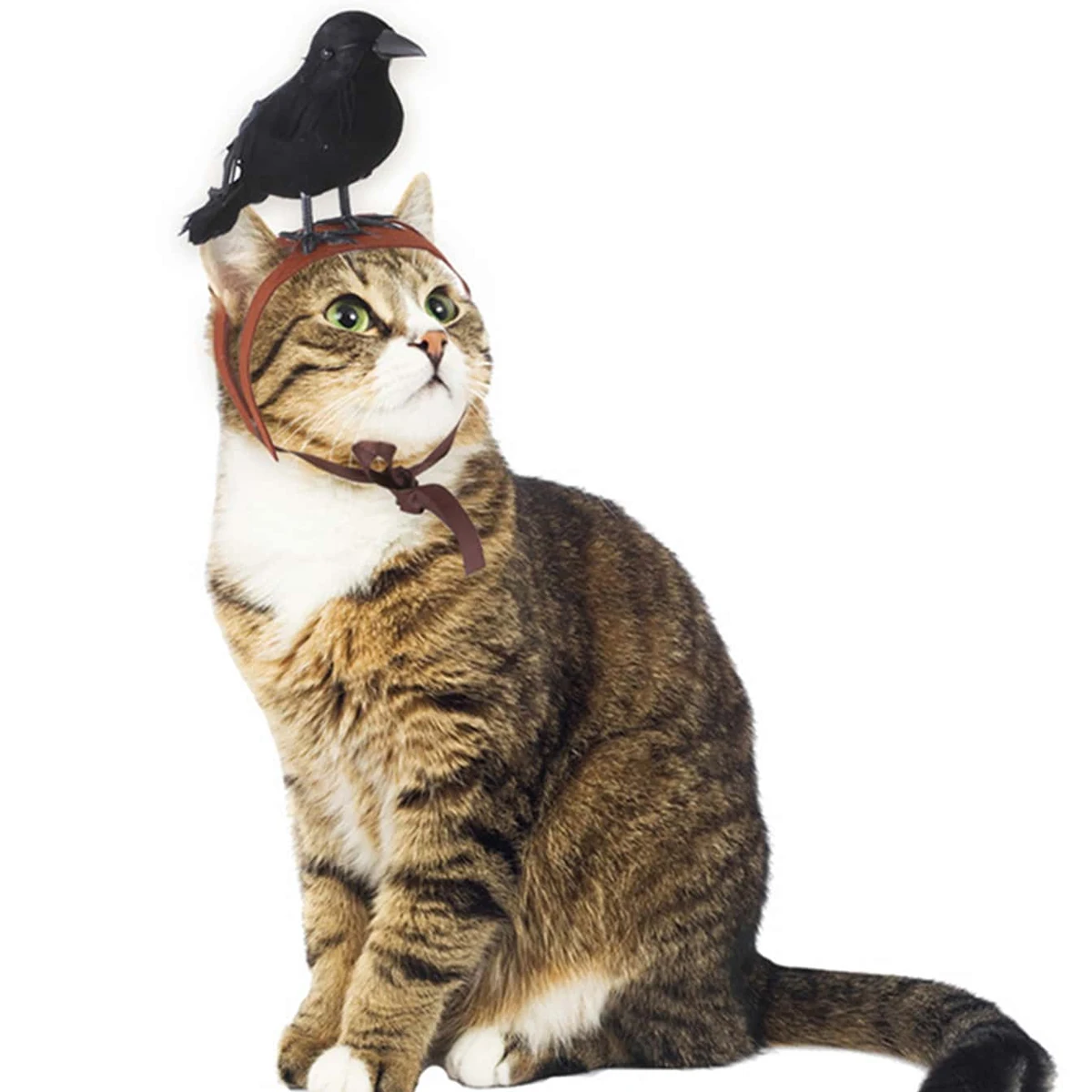 1pc-Halloween Crow Themed Pet Headwear for Cats and Dogs