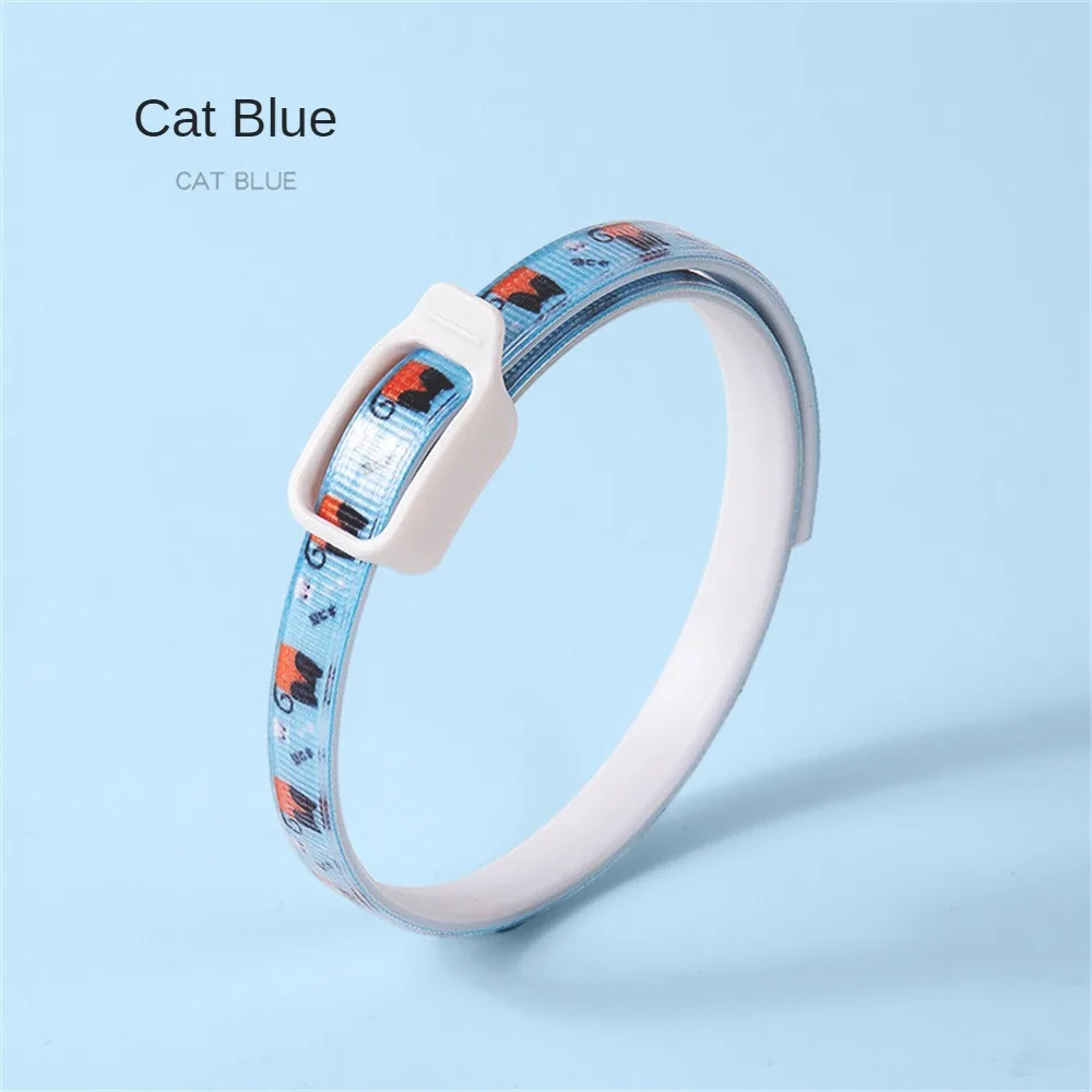 Cat Blue