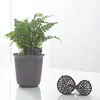 100 Pcs/pack Plant Fertilizer Baskets With Lid Cultivate Park Root Nursery Pots Bonsai Agriculture Aquarium Porta 4
