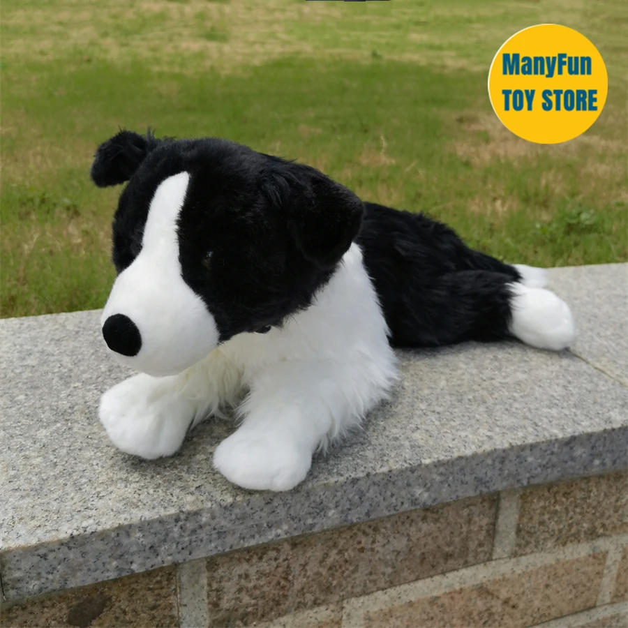 Sa5a2677a27304f229205f268b3930633q - Border Collie Gifts
