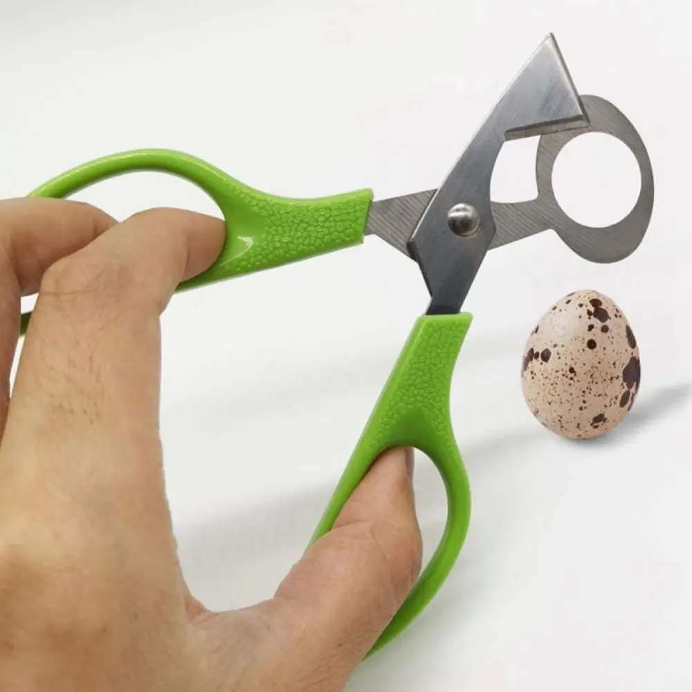 3/2/1PCS Stainless Steel Quail Egg Scissors Roasted Bird Egg Scissors Durable Shell Opening Divider Kichen Accessories