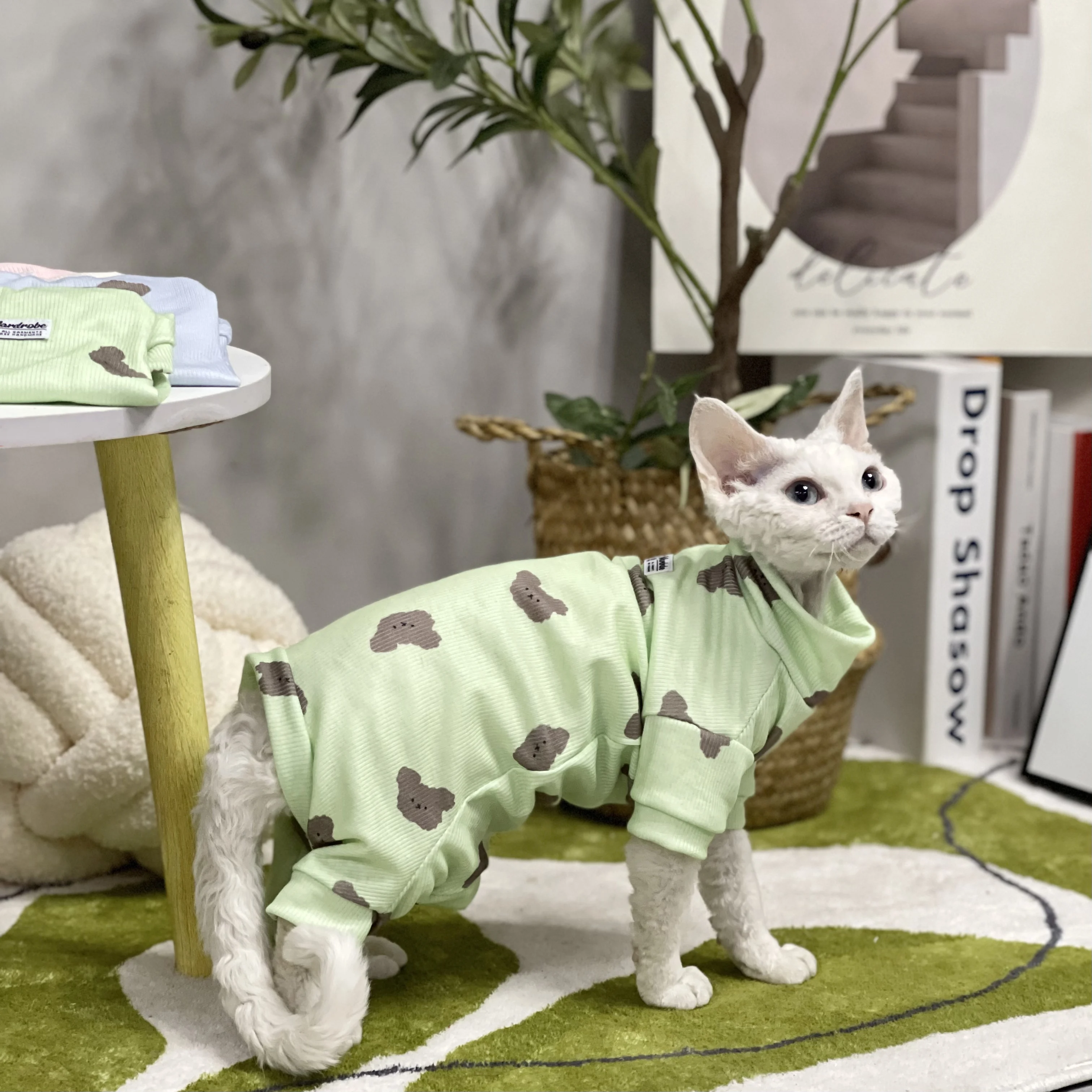 하이넥 스핑크스 고양이 코튼 조끼, 고양이 의류, 귀여운 곰 티셔츠, 데본 렉스 소프트 코트, 여름 용수철 아웃웨어, 고양이 용품