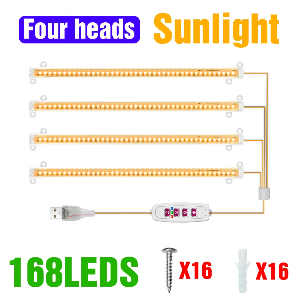 4-Pack-Sunlight