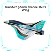 Blackbird Delta Wing 50 Culvert Aircraft Entry Culvert Aircraft Remote Control Model Aircraft Epo Foam Aircraft New Mobile Phone 1