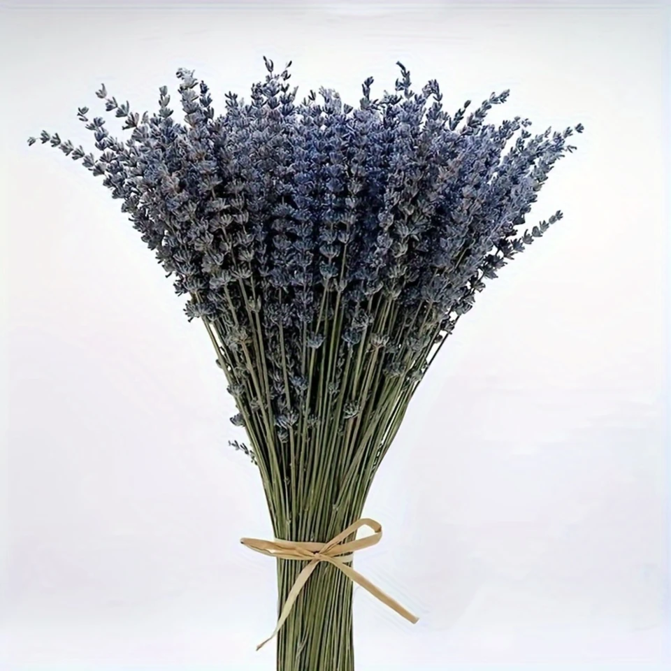Natural Dried Lavender Flower Bundle for Decoration