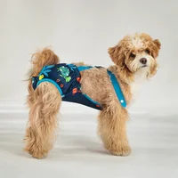 Pantalons physiologiques unisexes pour animaux de compagnie, sous-vêtements pour filles, couches pour chiens, slips à sangle, culottes hygiéniques pour femmes, fournitures pour animaux de compagnie 4