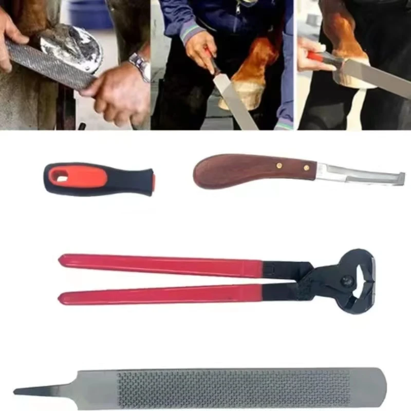 Farrier Tools 14-inch Horseshoe Trimming Sets，Contain Hoof Rasp Horse Nipper Knife  Brush，Professional 4 in 1 Hor 2