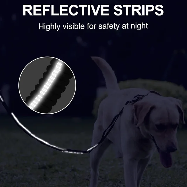 Heavy Duty Dog Leash,Reflective Nylon Dog Training Lead,Car Seat Belt,Double Handle,Metal Frog Clip,Dog Leash for All Size Dogs 4