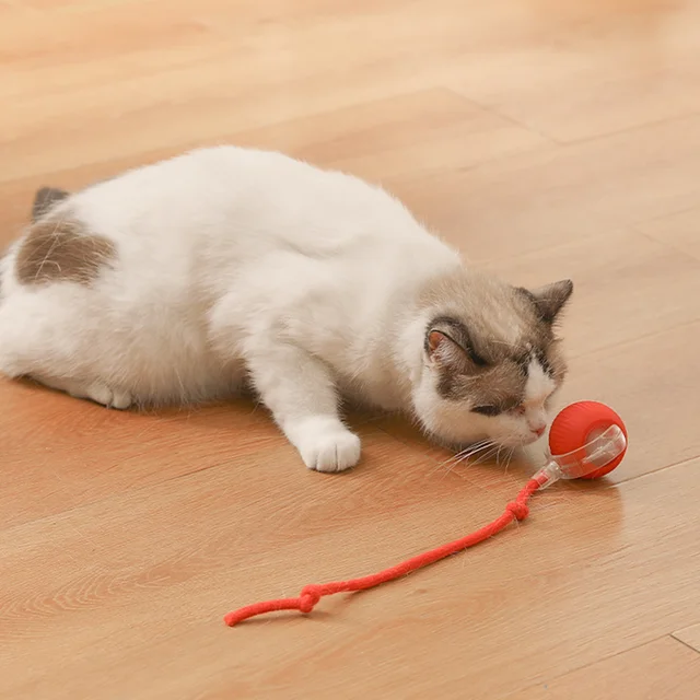 Plush Rolling Cat Toy Ball 4