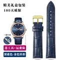 Dark blue golden pin