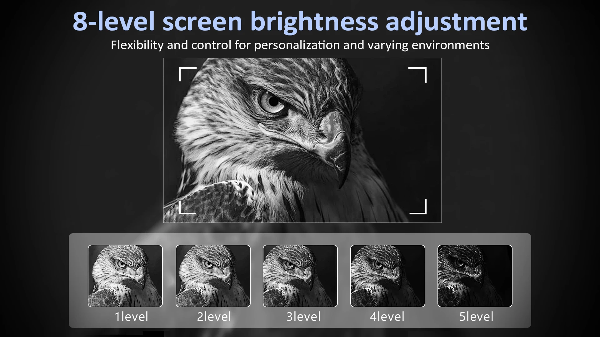 binoculares telescopio 8X Zoom Digital 300M 7 niveles cámara de visión nocturna infrarroja para caza &raquo; binoculares telescopio 8X
