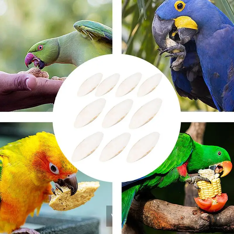 9-12cm Bird Cuttlebone Parakeets Natural Cuttlebone Tortoises Snails Cuttlefish Bone Chew Toy Bird Calcium Stone 10Pcs bird toy,pet mineral supplement