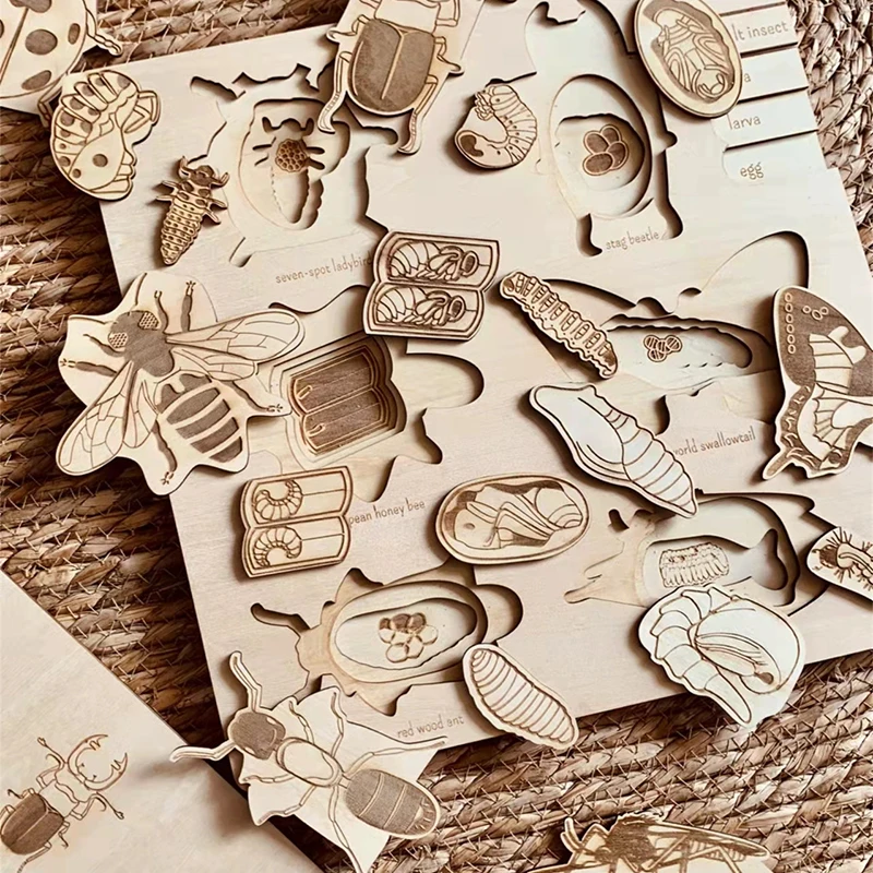 Montessori Wooden Life Cycle Puzzles Toy Bee Insect Structure Learning Plant Growth Cycle Science Teaching Aids Math Sorting Toy 3