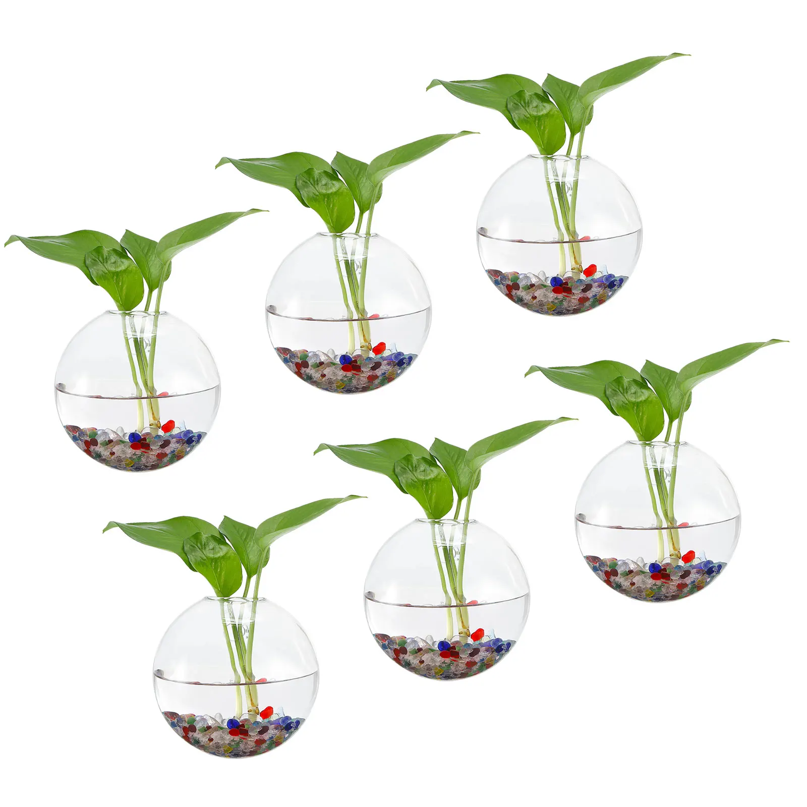 Wall Hanging Glass Terrarium Planters 5x5inch, Oblate Wall-Mounted Plant Propagation Station Container Vases for Hydroponic