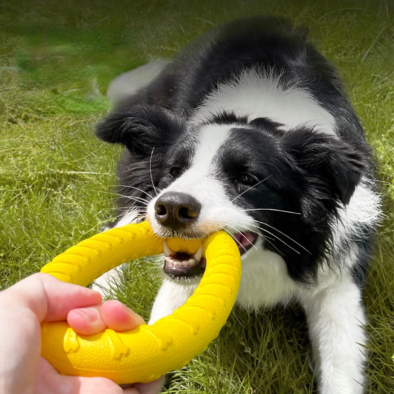 Dog Toys Pet Flying Discs Training Ring Puller Anti-Bite Floating Interactive Supplies Dog Flying Disk Toys Aggressive Chewing ﻿ 4