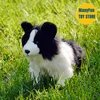 Border Collie Plush Toy High Fidelity Plushie Shepherd Dog Peluche Lifelike Stuffed Animals Simulation Doll Kawai Toy Gifts Kid 4