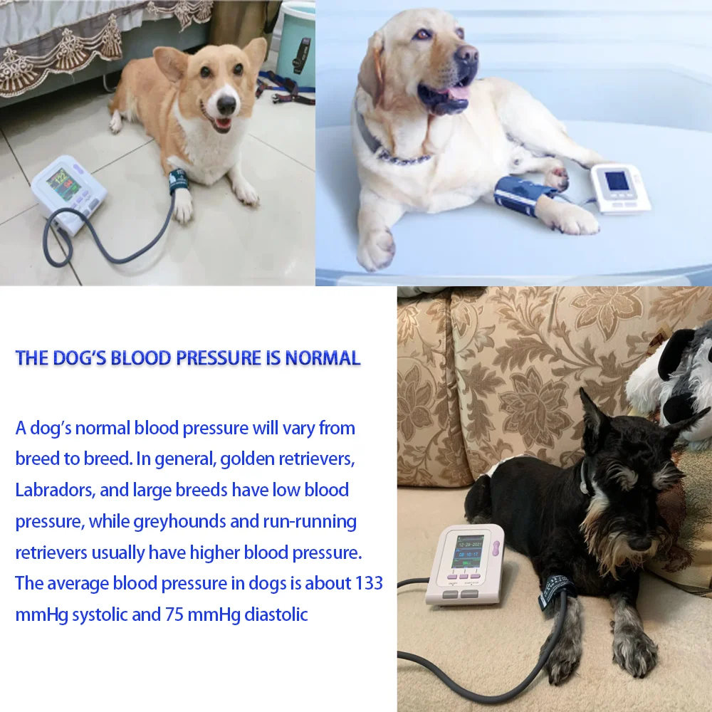 Cat Dog Sphygmomanometer Digital Veterinary NIBP Blood Pressure Monitor, Oximeter Probe Animal Circuference Cuff CONTEC08A-VET blood pressure monitor blood pressure meter